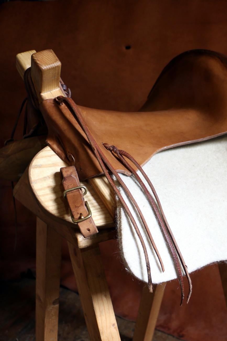 Selle - bât d'ânes A la fois bât de portage et selle de randonnée, idéale pour les enfants